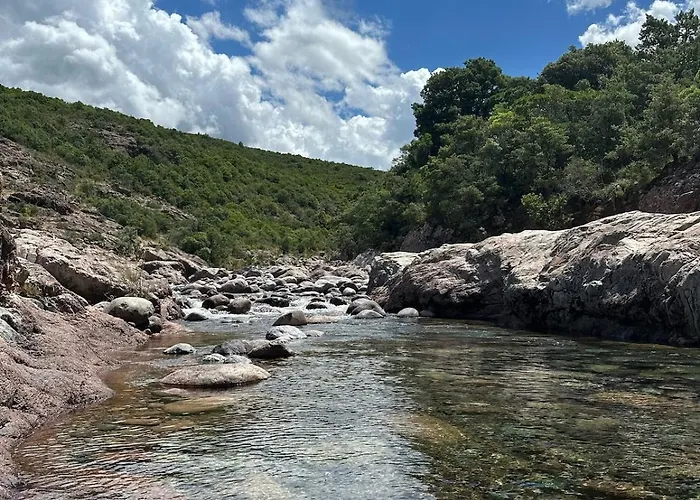 Climatise Vue En Rez-de-jardin