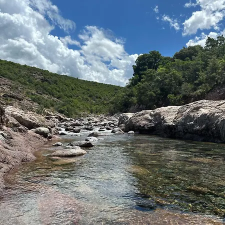 Lägenhet Climatise Vue En Rez-de-jardin
